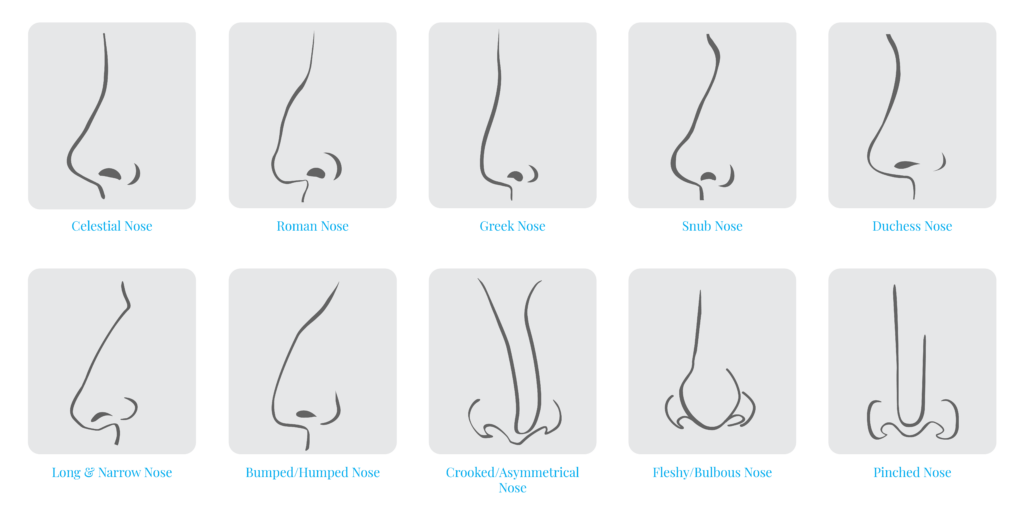 Popular & Ideal Nose Shapes: Identifying Yours | Dr. Bell