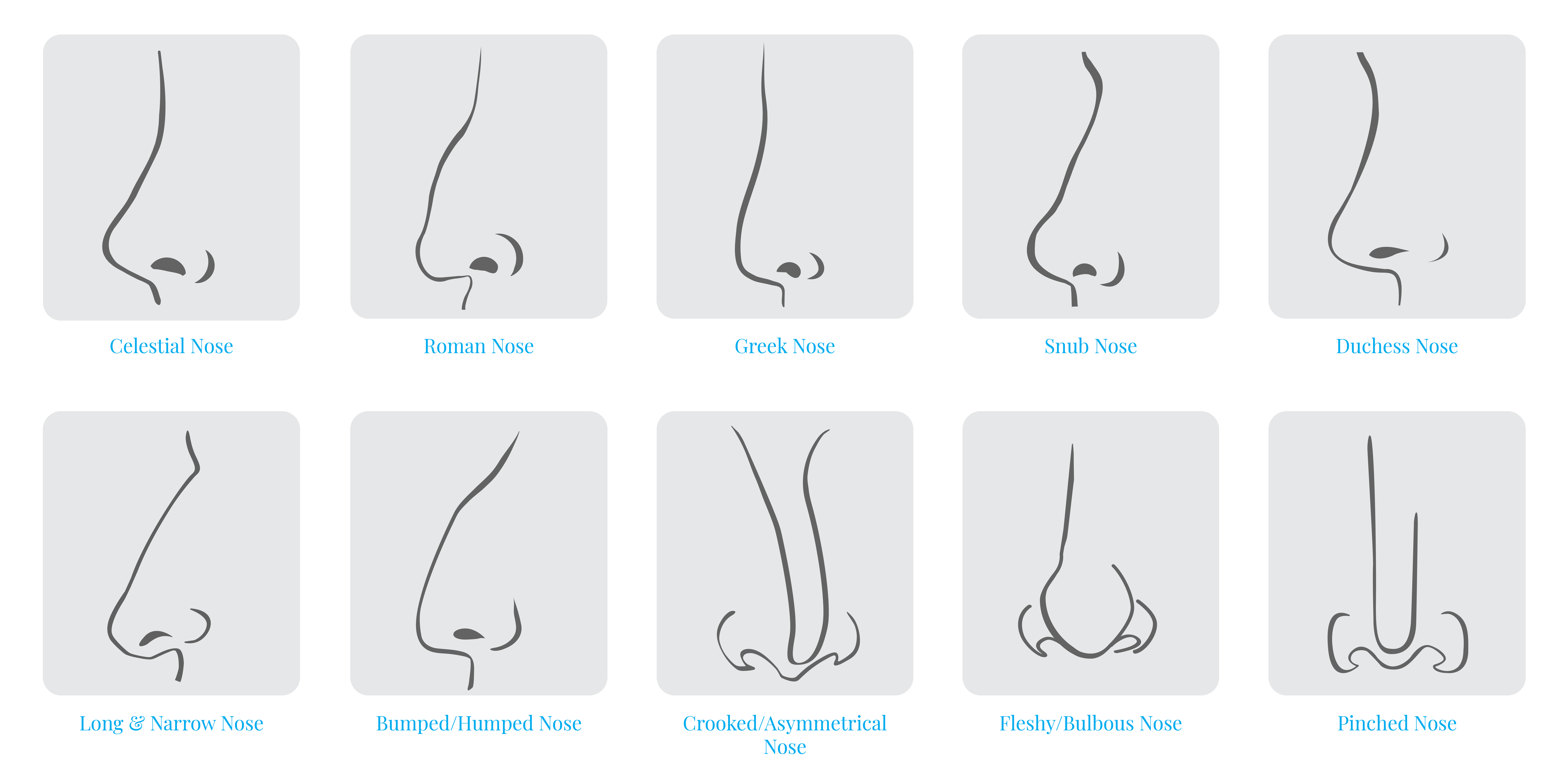 Common nose shapes