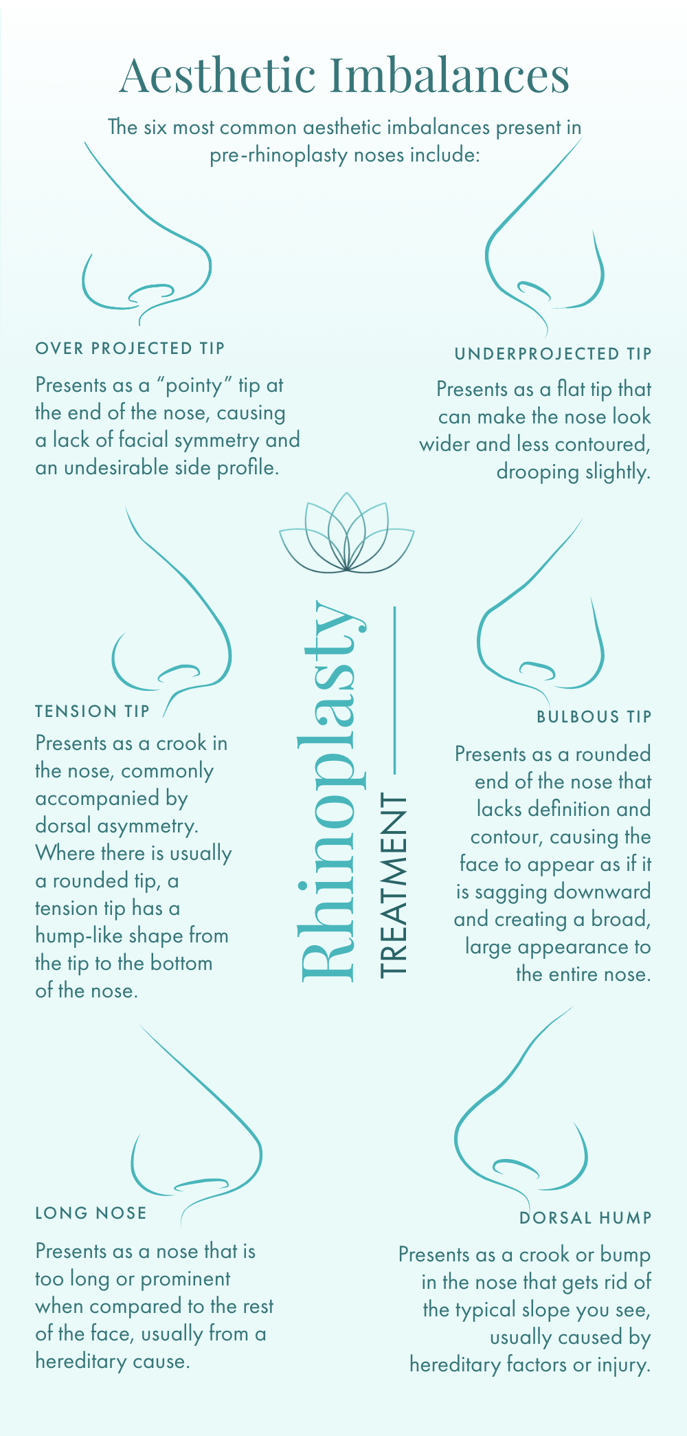 Infographic illustrating asymmetry and various aesthetic imbalances that can be addressed by rhinoplasty surgery